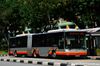 Thumbnail: SMB8005U — A MAN NG363F (A24) articulated (bendy) bus serving commuters on service 800 back when it was operated by SMRT Buses in March 2018.